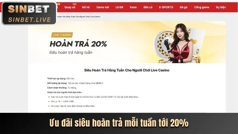 Hoàn trả thể thao K8